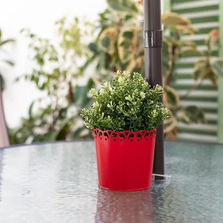 Terrace Lux Apartment Valencia